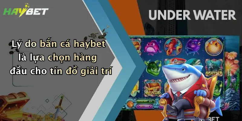 Lý do bắn cá haybet là lựa chọn hàng đầu cho tín đồ giải trí