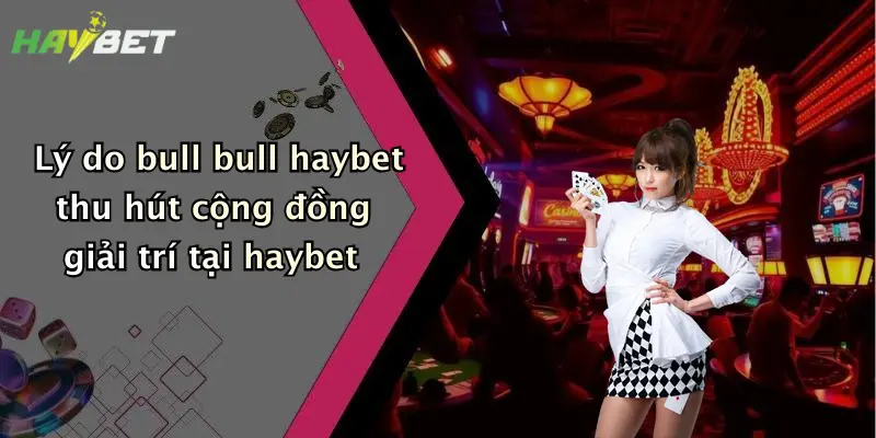 Lý do bull bull haybet thu hút cộng đồng giải trí tại haybet