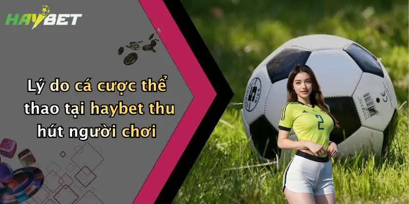 Lý do cá cược thể thao tại haybet thu hút người chơi