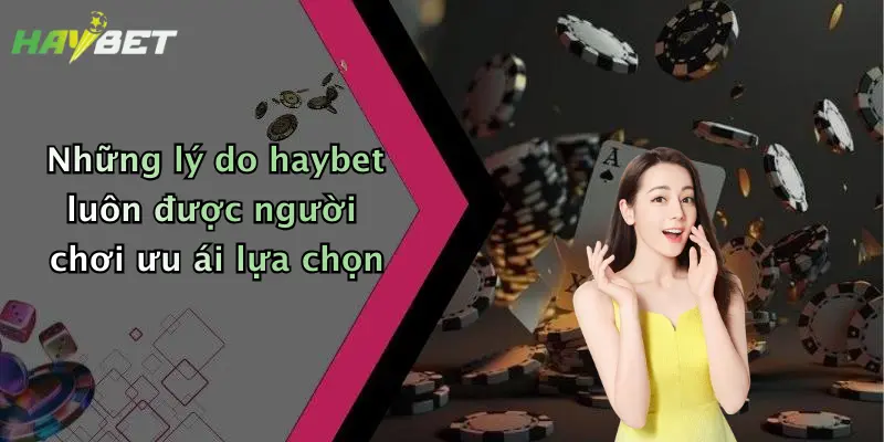 Những lý do haybet luôn được người chơi ưu ái lựa chọn