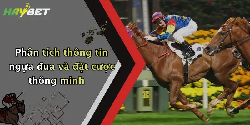 Phân tích thông tin ngựa đua và đặt cược thông minh